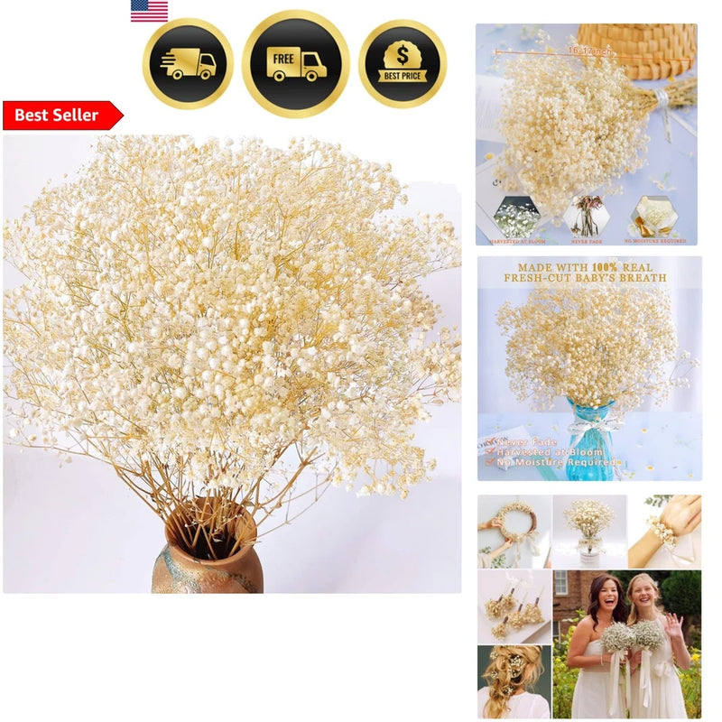 Dried white baby's breath flowers in a vase, bundle with many tiny blooms