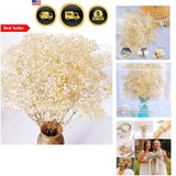 Baby's Breath Flowers Bulk Dried Gypsophila Flowers for Wedding Party Home Decor Dried Flower