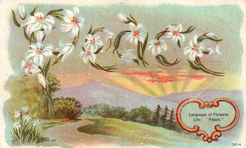 Vintage lily postcard with white flowers, ribbon banners, and 'Peace' text label