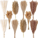 220 PCS Dried Flower Bouquet Ð Pampas Grass, Floral Decor for Home, Wedding, and Pampas Grass