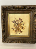 Herbarium Dried Flowers Wood Framed. Very Old. Dried Flower