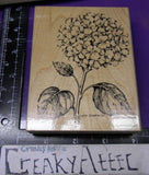 STAMPIN UP HYDRANGEA STEM FLOWER 1 RUBBER STAMP BOUQUET PLANT CREAKYATTIC Hydrangea