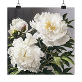 White Peonies Flower Art Print, White Flower Painting, Flower DŽcor 03 Peony