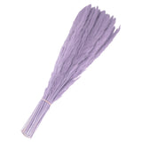 60Pcs Pampas Grass,17" Fake Pampas Grass for Wedding Decoration,Light Purple Pampas Grass