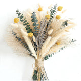 Dried Pampas Grass Bouquet Ð Boho Decor for Home, Vase Brown Pampas Grass