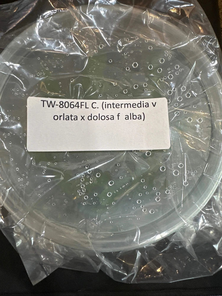 Clear round laboratory flask with printed identification label
