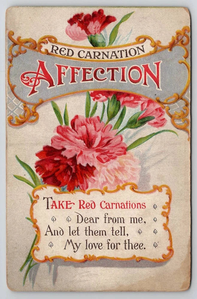 Red Carnation Flower for Affection Greeting Postcard L39 Carnation
