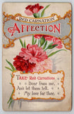 Red Carnation Flower for Affection Greeting Postcard L39 Carnation