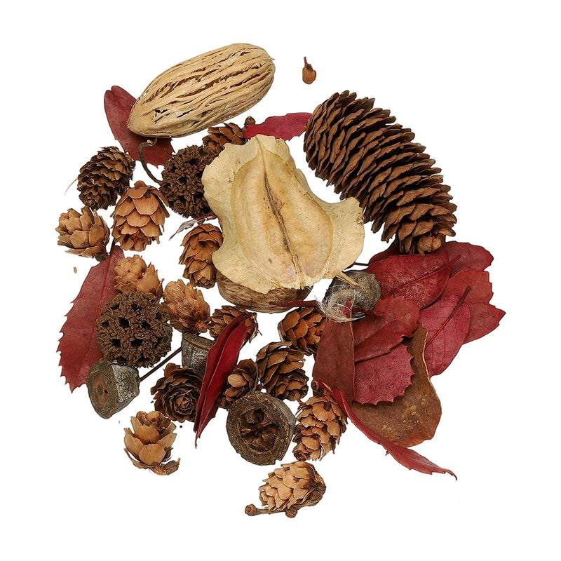 NaturalÊDriedÊFlowerÊSet,ÊDriedÊPressedÊFlowers (Red+Brown) Dried Flower