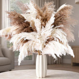 50 PCS Tall Pampas Grass for Floor Vase Ð 17" Natural Fluffy Dried Pampas Gra... Pampas Grass