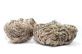 NessaStores- Rose Of Jericho 2"-3" Resurrection Plant (2 pcs) #JC-164 Flowering Plants