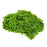 Fish Tank Decorative Plants Miniature Landscape Ornament Bonsai Moss Green Plant