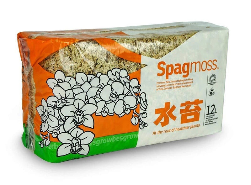 Sphagnum moss bag with natural moss for orchids and plants, sealed pack