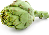 30 Exotic Globe Artichoke Seeds for Planting Rare Garden Vegetable Garden Plants