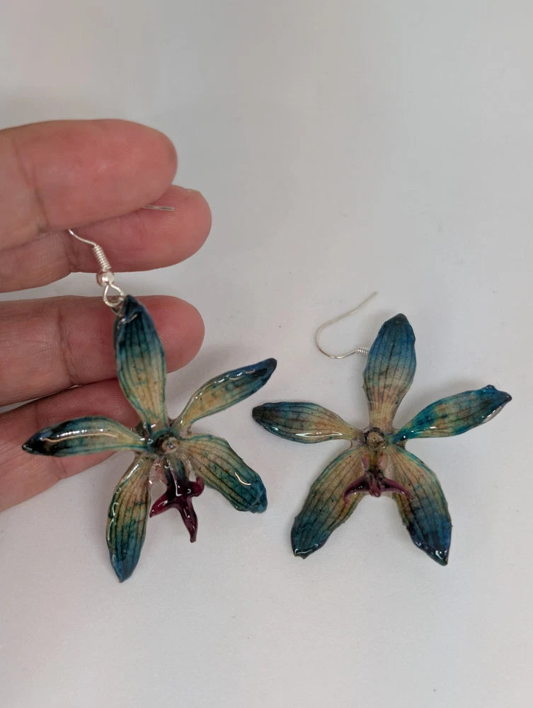 Medium Blue Tiger Cattleya Orchid in Resin Orchids