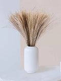 100Pcs Dry Pampas Grass DecorÊFluffy Stem Bouquet for Boho Wedding Decor 17" Pampas Grass