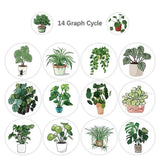 40Pcs Random Green Plant Stickers Gift Wrap DIY Craft Handmade Label Sticker Green Plant