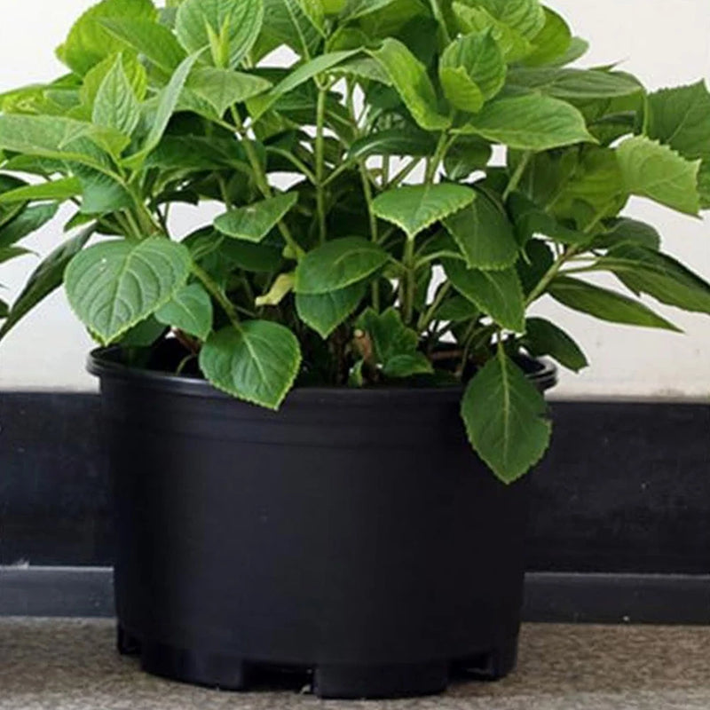 Elegant Plant Nursery Pots with Drainage Holes for Successful Outdoor Gardening Garden Plants