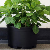 Elegant Plant Nursery Pots with Drainage Holes for Successful Outdoor Gardening Garden Plants