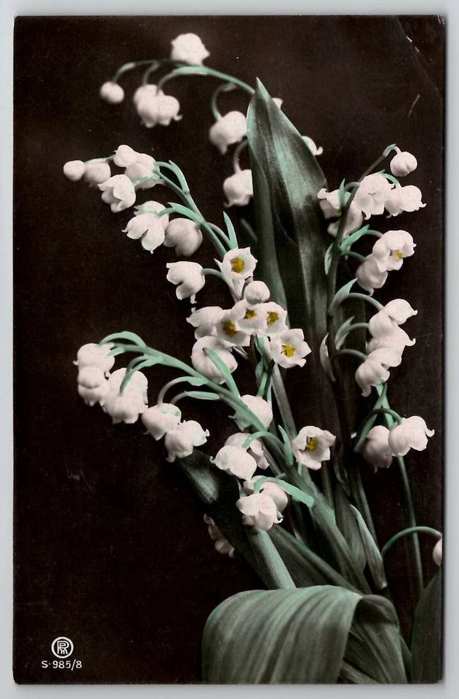 RPPC Beautiful Lily of the Valley Flowers Tinted Photo 1908 Postcard B25 Lily