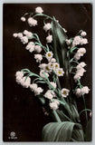 RPPC Beautiful Lily of the Valley Flowers Tinted Photo 1908 Postcard B25 Lily