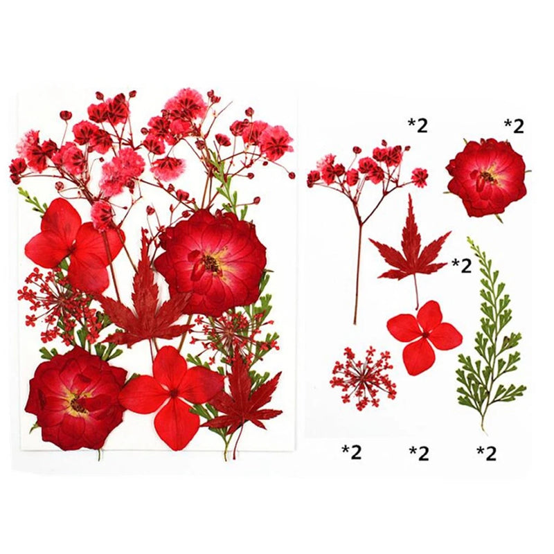 Natural Real Dried Flower Plants For Candle Epoxy Resin Jewelry Making Craft DIY Dried Flower