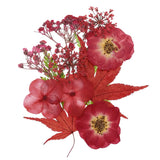Dried Pressed Flowers Real Dry Leaves Pressed Flowers for DIY Crafts Red Dried Flower