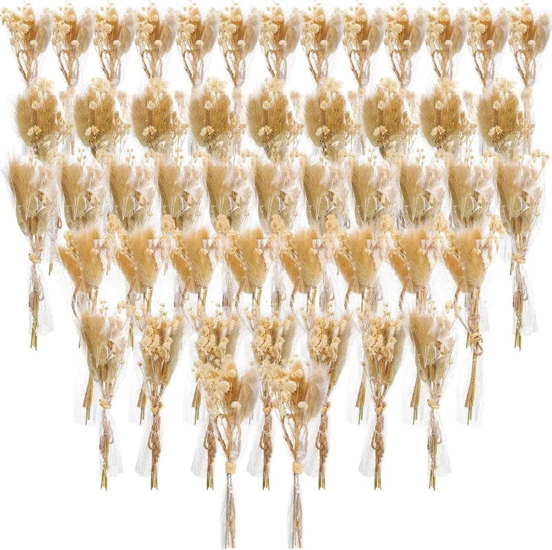 Mini dried baby’s breath stems, beige and white (50 pcs) in small bundles