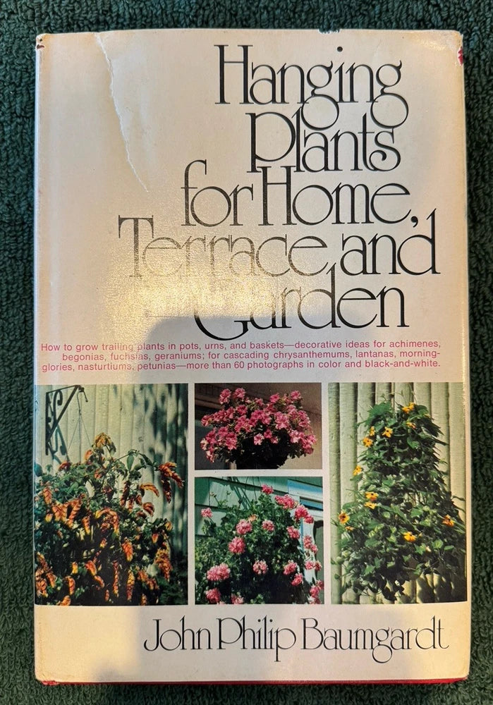 Hanging Plants for Home, Terrace, and Garden. Garden Plants