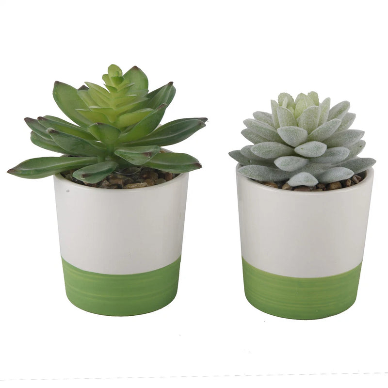 Flora Bunda Artificial Plant in 3 in 2-Tone Ceramic Color Block Pot,Set of 2 Green Plant
