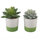 Flora Bunda Artificial Plant in 3 in 2-Tone Ceramic Color Block Pot,Set of 2 Green Plant
