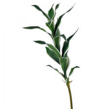 Varigated Dracena Stem Faux Plants And Trees Green Plant