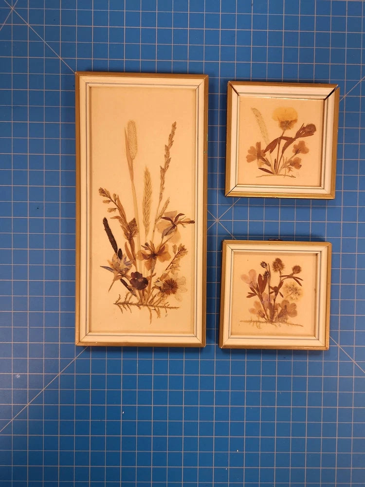 Framed pressed-flower botanical prints, four small rectangular frames on beige paper
