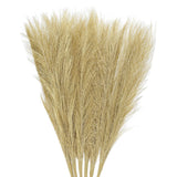 3Pcs Pampas Grass 17.7" Fake Pampas Grass for Wedding Decoration Golden Pampas Grass