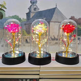 Girlfriend Eternal Rose LED Light Foil Flower In Glass for Valentines Day Gift Bouquet
