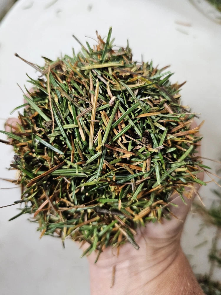 1 lb Fresh Balsam Fir Needles For Crafts, Sachets, Potpourri, Pillows Dried Flower