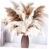 40 PCS Tall Pampas Grass for Floor Vase Ð 17" Natural Fluffy Dried Pampas Pampas Grass