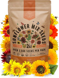 Sunflower Mix Seeds Pack 2 Oz - over 2,500 Non-Gmo Heirloom Sunflower Seeds for Sunflower