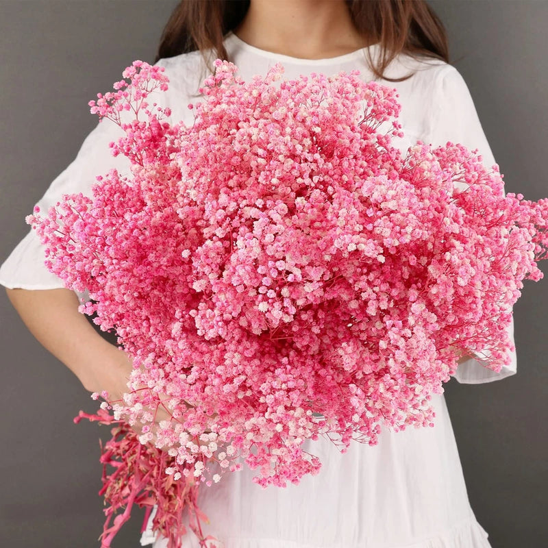 Pink dried baby's breath bouquet, dense small flower clusters