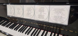 Yamaha Disklavier CDs feat ADELE - QUEEN - GUNS & ROSES - JOHN LEGEND - RIHANNA Roses