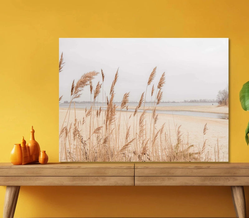 Dry Pampas Grass in Close-up 5mm thick Plastic Poster Ready to Hang 60x45cm Pampas Grass