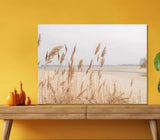 Dry Pampas Grass in Close-up 5mm thick Plastic Poster Ready to Hang 60x45cm Pampas Grass