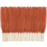 ____pcs Orange Pampas Grass ____in, Pompas Grass Hom Pampas Grass