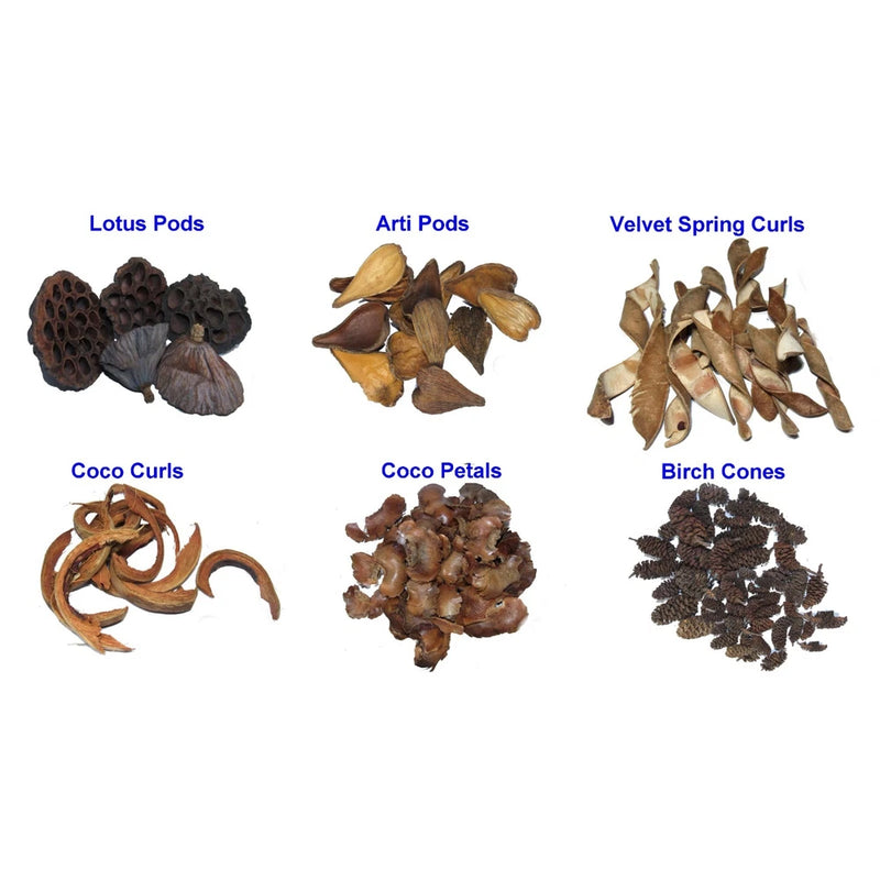 Assorted dried botanicals lot with lotus pods, coco curls, coco petals, birch cones