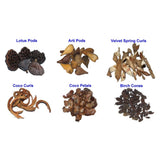 Dried Botanicals Lot Lotus Pod Coco Curls Cones Floral Craft Wreaths Vase Filler Dried Flower