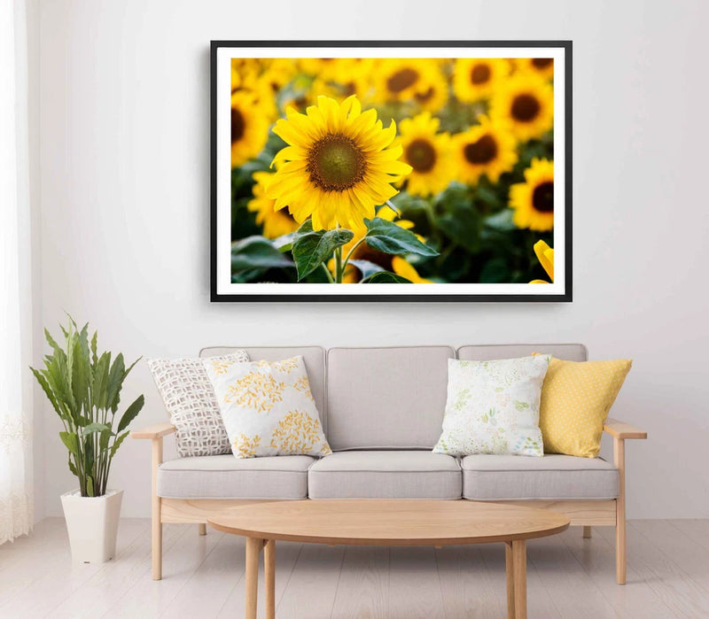Framed sunflower print wall art in a black frame with bright yellow sunflowers