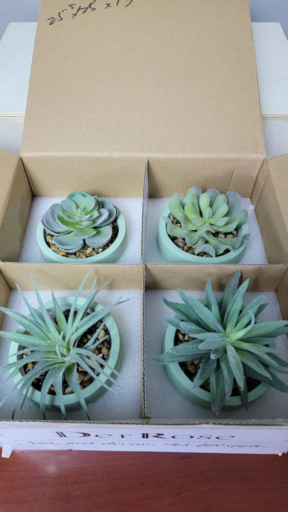Succulents Fake Artificial Plants ~ 4 Pack Cute Green Vase ~ Der Rose Decoration Green Plant
