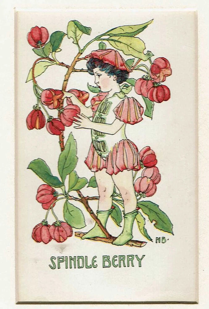 Colored engraving print of a girl holding a flowering branch, botanical illustration