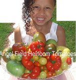 30 Mixed Heirloom Tomato Seeds "Plus 1 Packs of Vegetable Seeds Green Plant