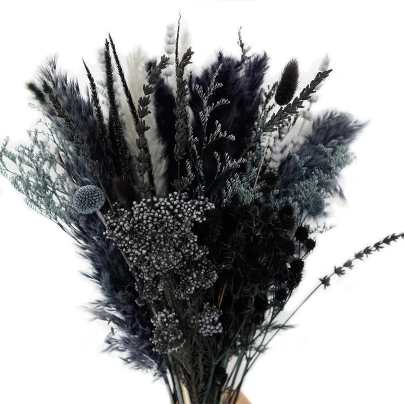 Natural Dried Pampas Grass Bouquet,17" Natural Dried Flower Bouquet, Black Pa... Pampas Grass